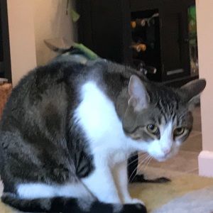 Meet your Posher, Shaun